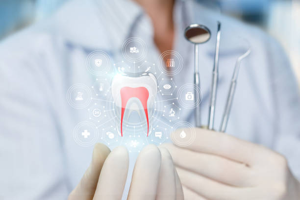  Mobridge, SD Holistic Dental Services Pros